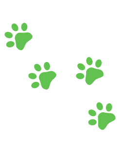 huellitas_perrunas